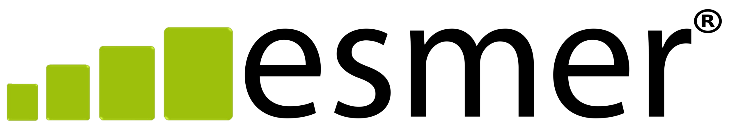 esmer_logo